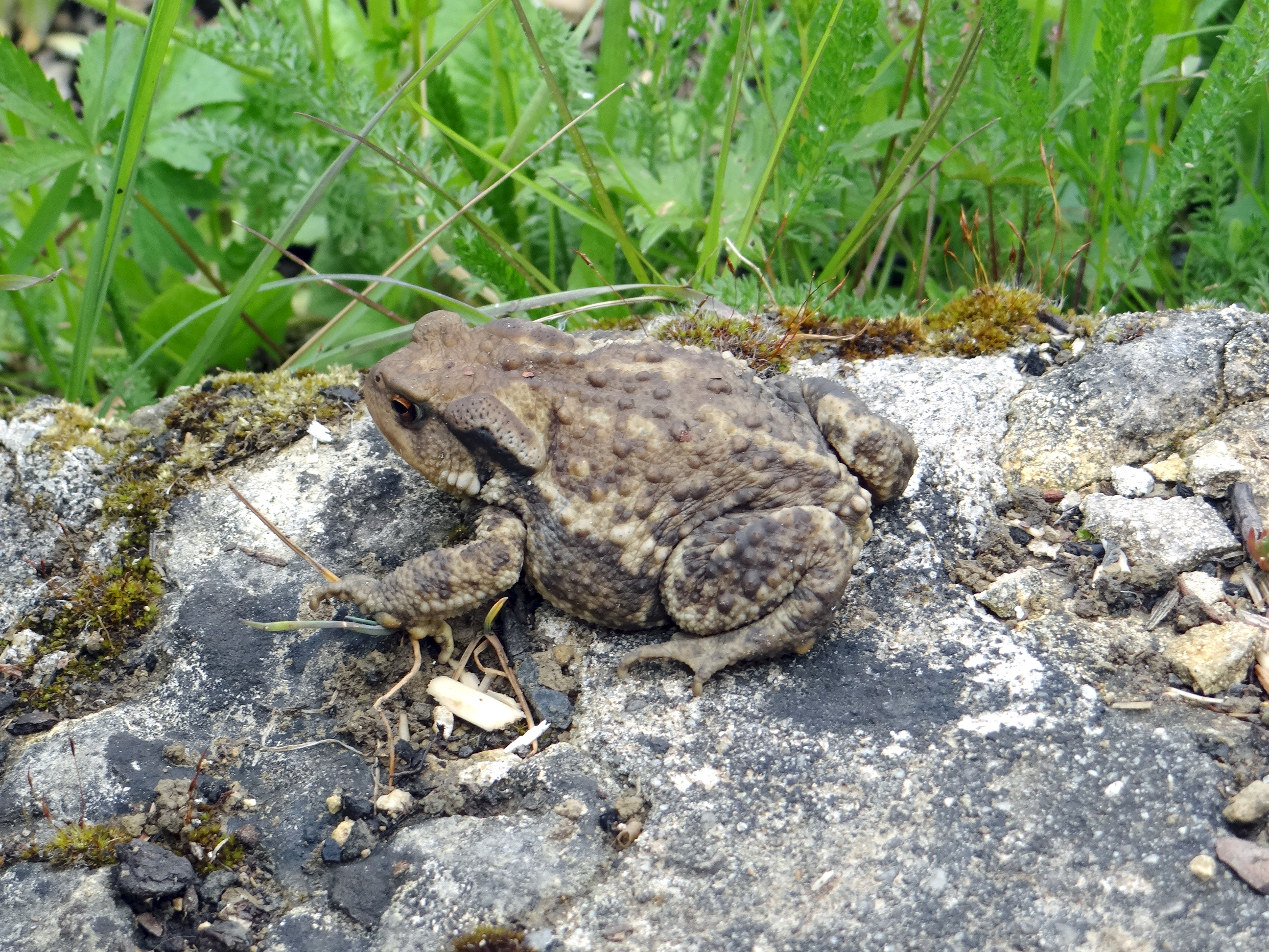 rencontre naturaliste natureparif