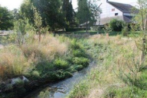 Restauration du Petit Rosne à Sarcelles: Une réussiteprésentée au collauque